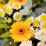 Bouquet de fleurs au style champêtre et vaporeux dans les tons jaunes, blancs et verts.