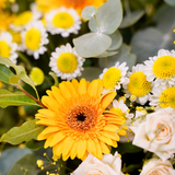 Bouquet de fleurs au style champêtre et vaporeux dans les tons jaunes, blancs et verts.