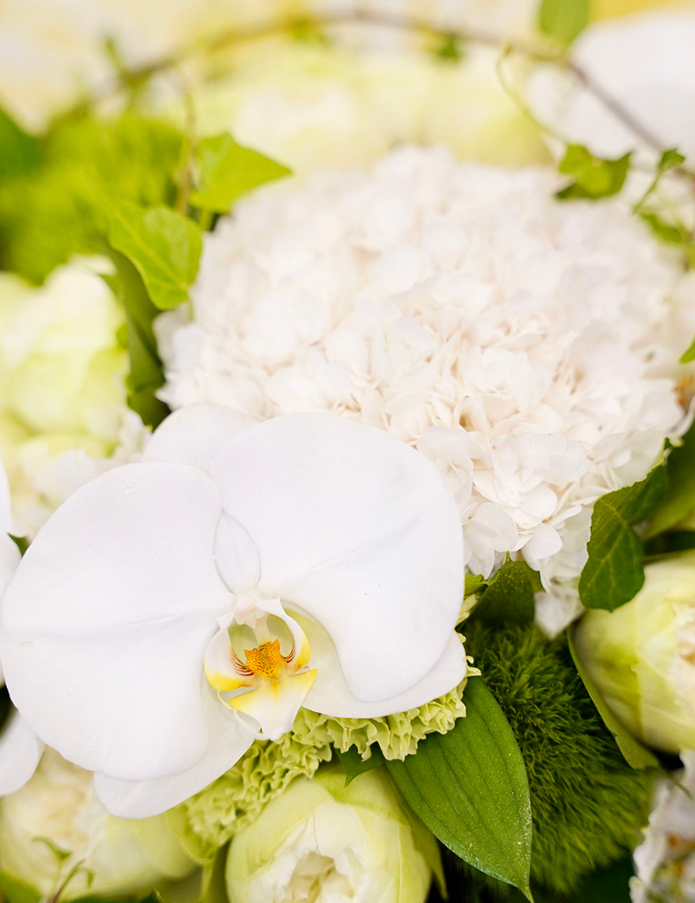 Zoom sur un bouquet de fleurs rond dans les tons blancs et verts.