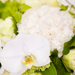 Zoom sur un bouquet de fleurs rond dans les tons blancs et verts.