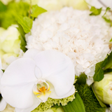 Zoom sur un bouquet de fleurs rond dans les tons blancs et verts.
