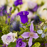 Zoom sur un bouquet de fleurs au style champêtre et élégant dans les tons violets avec des touches de vert.