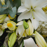 Composition de deuil dans les tons blancs avec des touches de vert intégrant des lys.
MaisonFiori fleuriste ouvert à Nice. Bouquets de saison, créations florales élégantes et livraison de fleurs de saison à Nice en avril. Commande en ligne ou en boutique.
