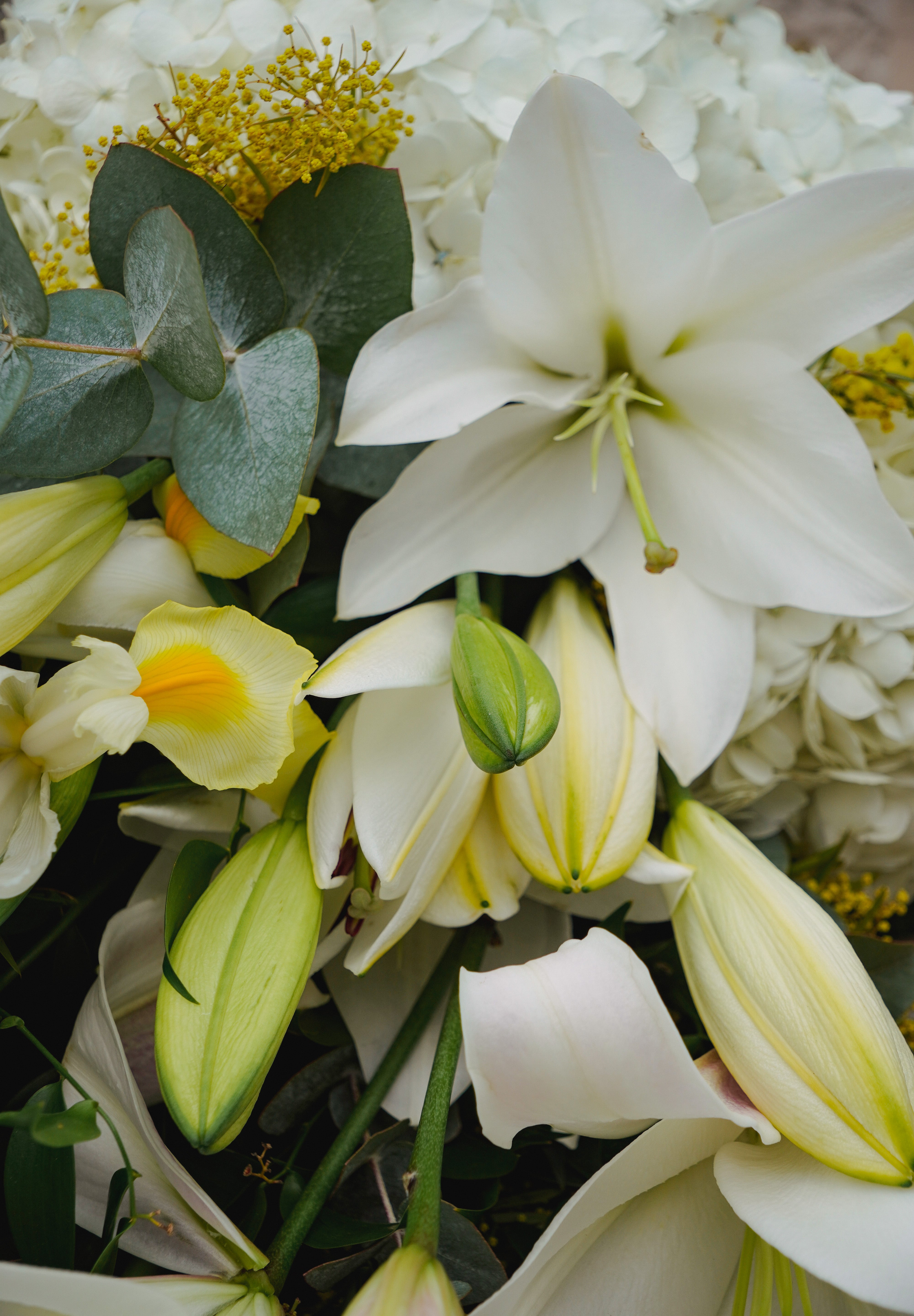 Composition de deuil dans les tons blancs avec des touches de vert intégrant des lys.
MaisonFiori fleuriste ouvert à Nice. Bouquets de saison, créations florales élégantes et livraison de fleurs de saison à Nice en avril. Commande en ligne ou en boutique.