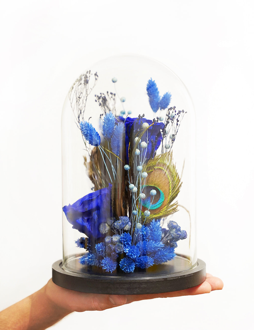 Composition de fleurs séchées sous cloche aux tons bleus.