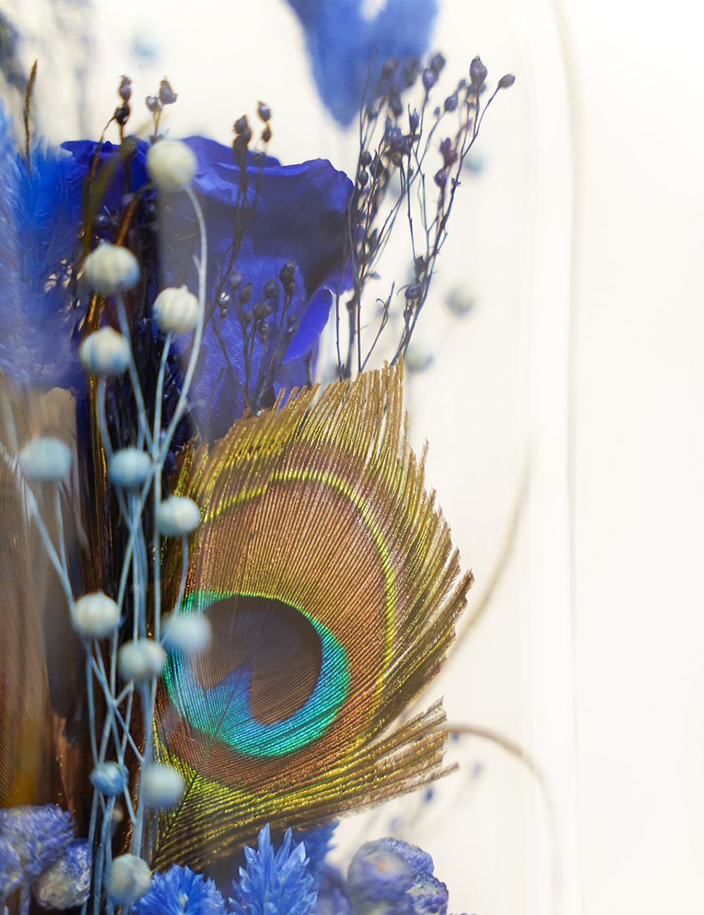 Zoom sur une composition de fleurs séchées sous cloche aux tons bleus.