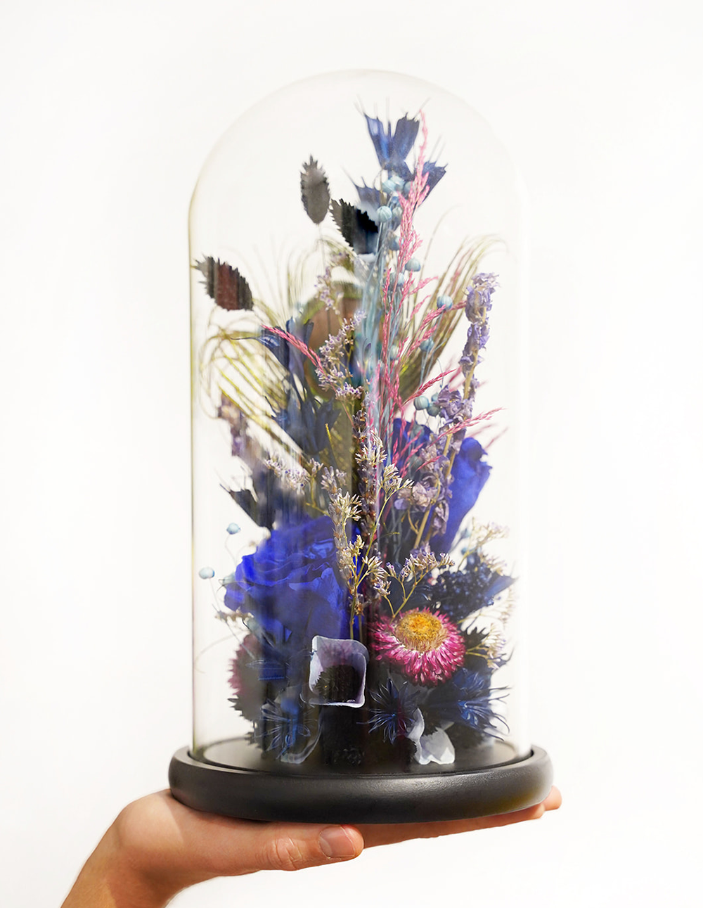 Composition de fleurs séchées sous cloche aux tons violets.