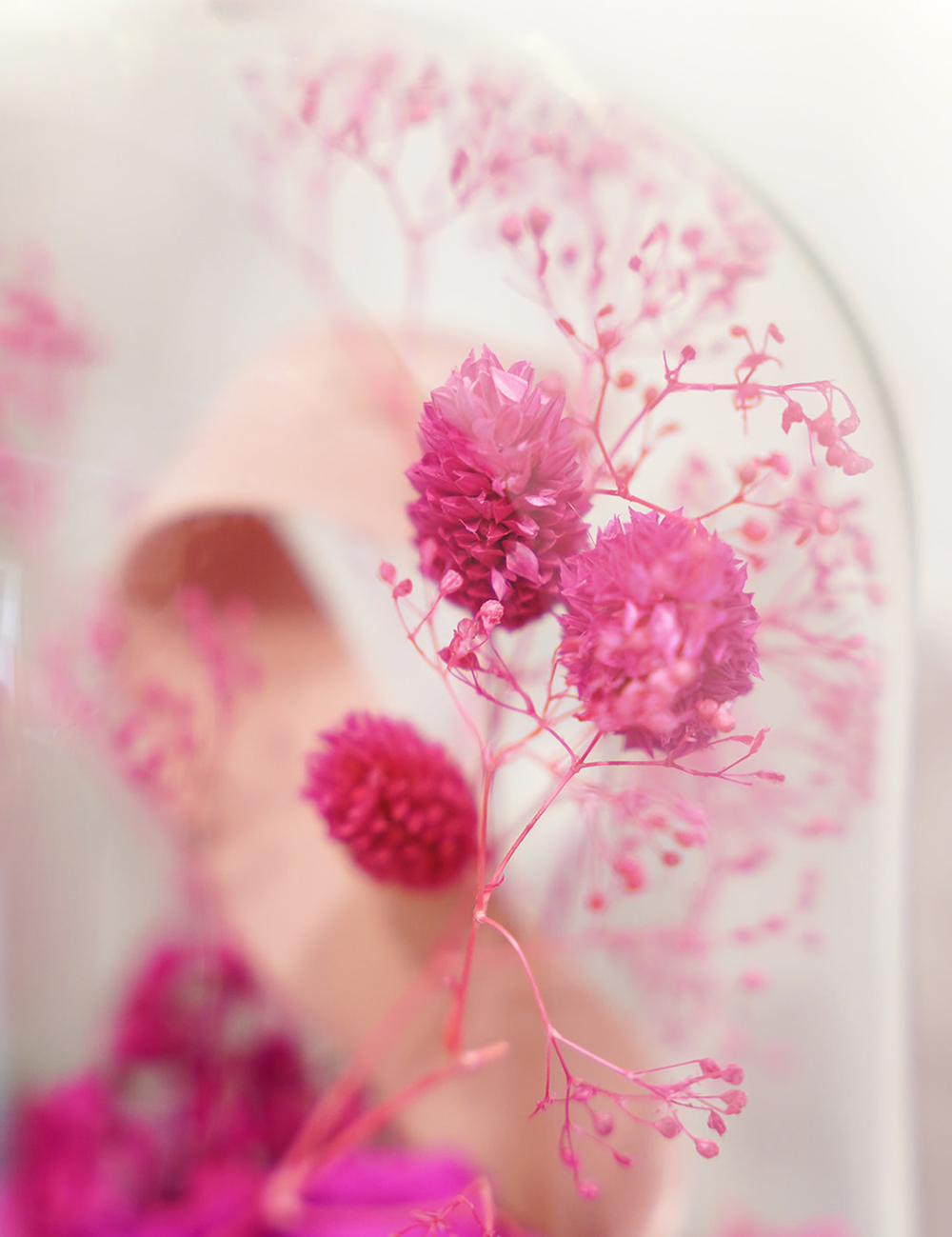 Zoom sur une composition de fleurs séchées sous cloche aux tons roses.