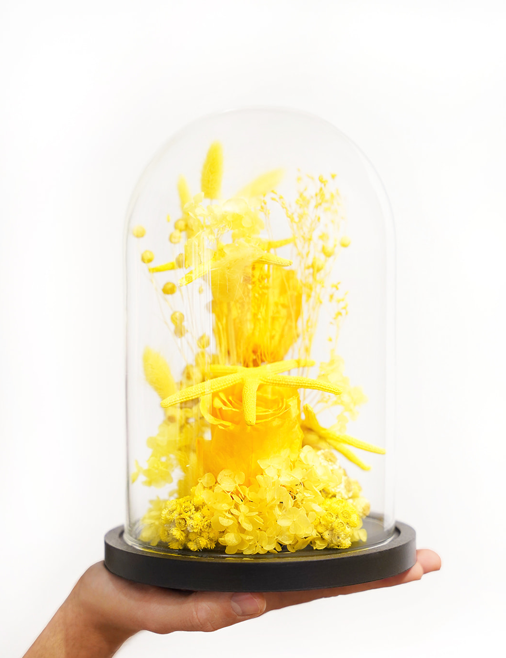 Composition de fleurs séchées sous cloche aux tons jaunes.