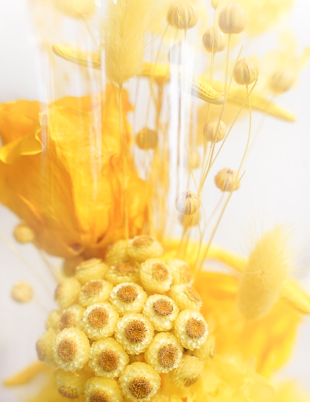 Zoom sur une composition de fleurs séchées sous cloche aux tons jaunes.