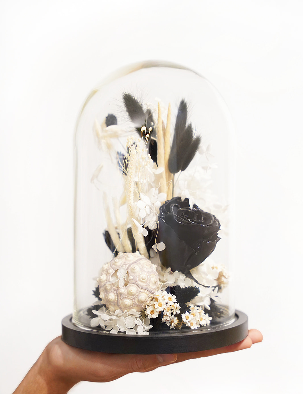 Composition de fleurs séchées sous cloche aux tons noirs.