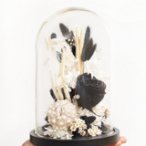 Composition de fleurs séchées sous cloche aux tons noirs décoration automne