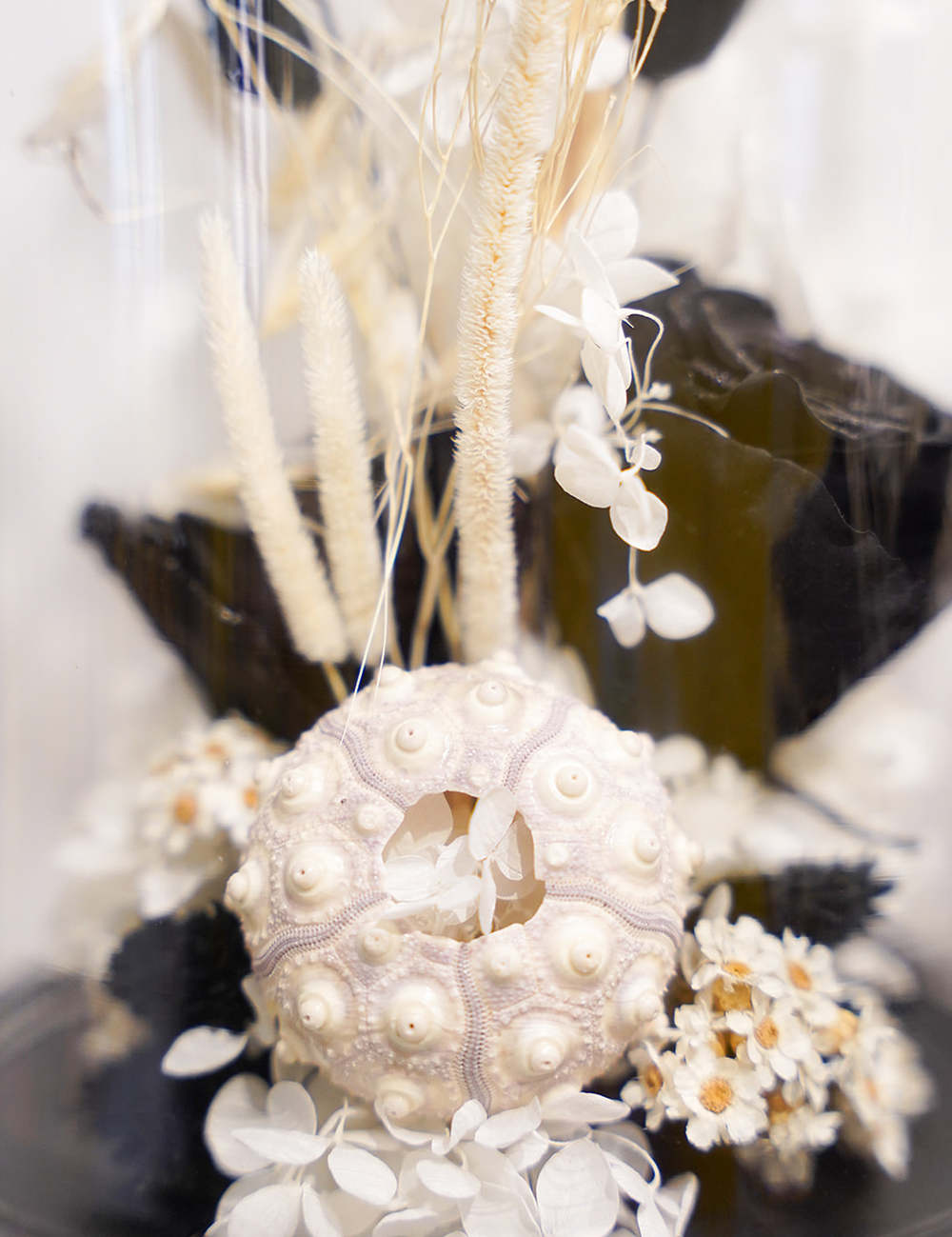 Zoom sur une composition de fleurs séchées sous cloche aux tons noirs.