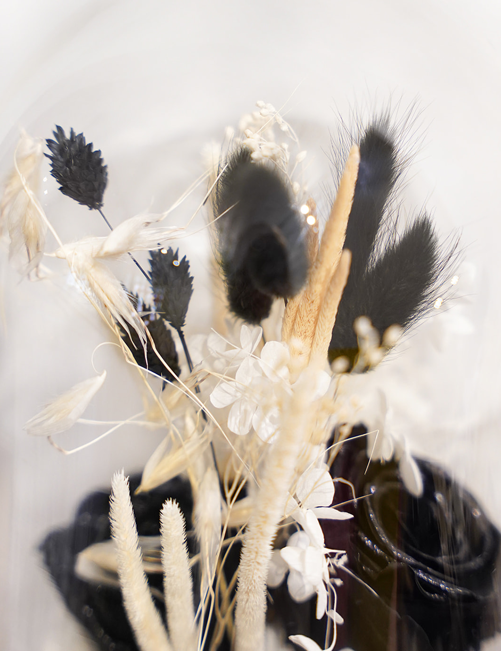 Zoom sur une composition de fleurs séchées sous cloche aux tons noirs décoration automne