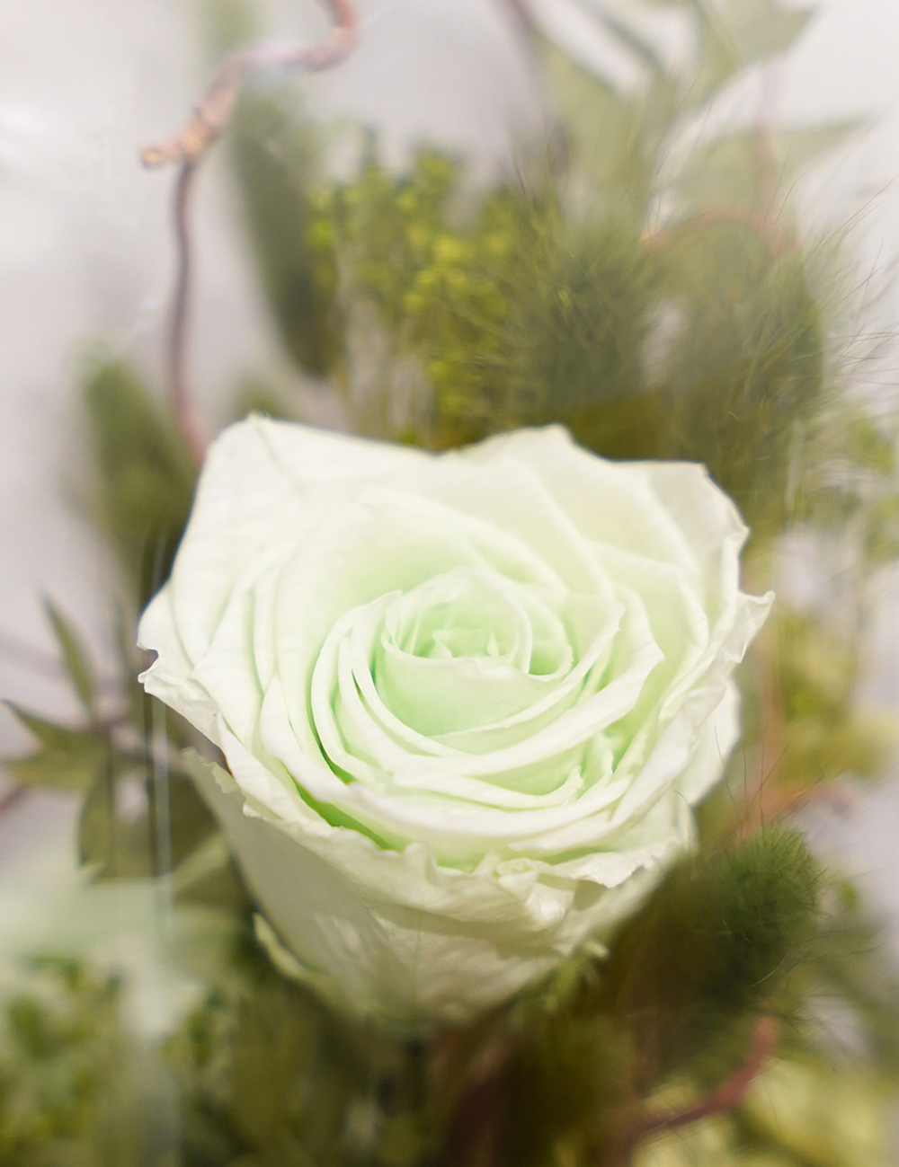 Zoom sur une composition de fleurs séchées sous cloche aux tons verts.