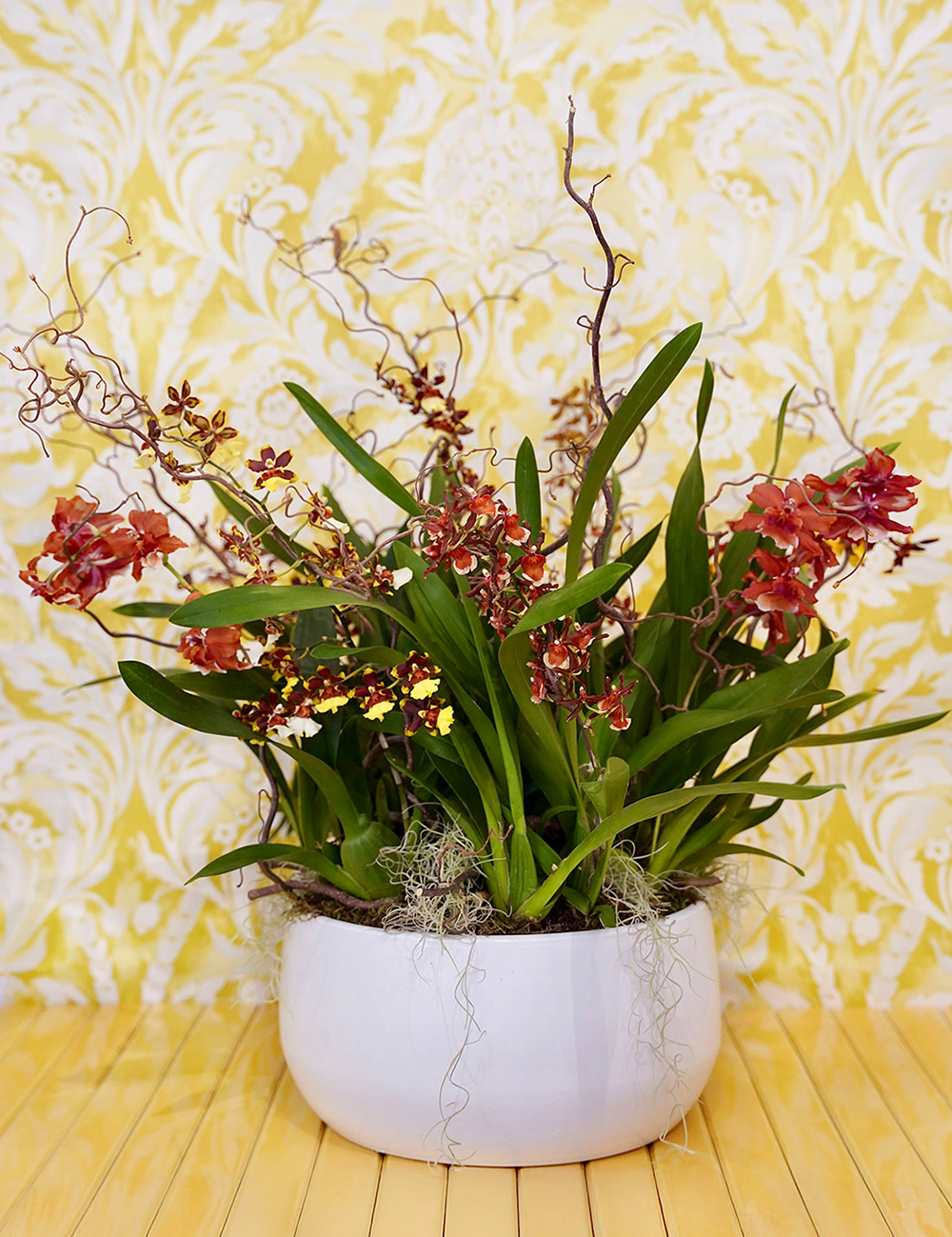 Arrangement d’orchidées rouges et orangées à l’allure raffinée et luxueuse dans un pot rond blanc.