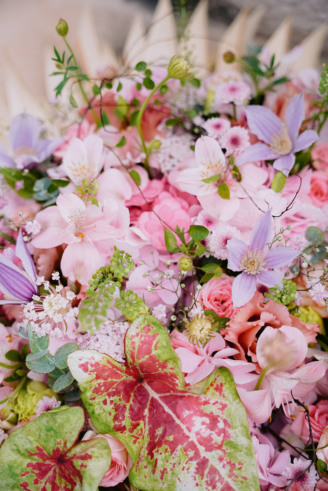 Composition de deuil élégante et contemporaine dans les tons roses.
MaisonFiori fleuriste ouvert à Nice. Bouquets de saison, créations florales élégantes et livraison de fleurs de saison à Nice en avril. Commande en ligne ou en boutique.
Créations florales élégantes et livraison de fleurs de saison à Nice en avril. Commande en ligne ou en boutique.
Nous livrons régulièrement nos compositions sur Nice à l'Athanée de Nice, la Chambre Funéraire de Gairaut et l'Athanée de Monaco